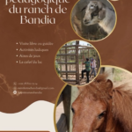 mini_ferme_pedagogique_bandia
